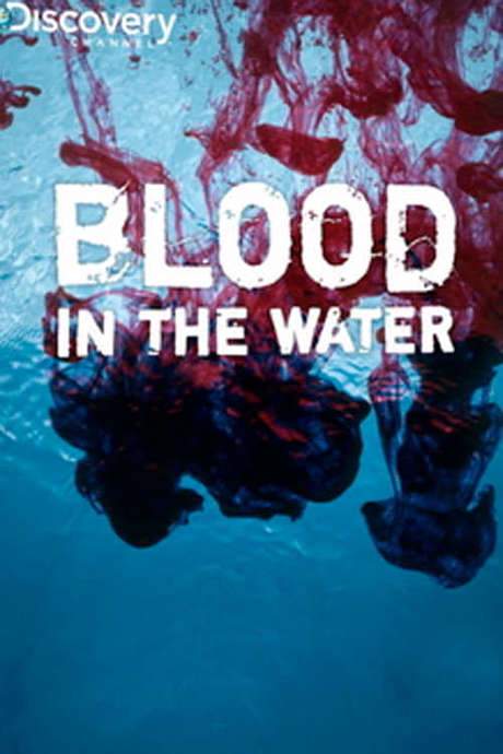 Blood in the Water